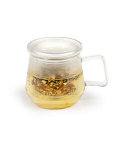 Tea for one Livorno glass transparant 290ml