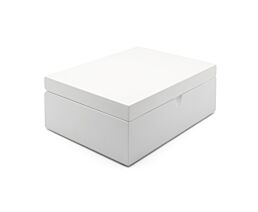 Tea box + 4 canisters + spoon bamboo white